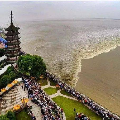 【已成团|海宁观潮】9月10日/12日成团,览天下奇观海宁潮,逛南关厢历史街区,一日游。_活动_乐行族_硖石