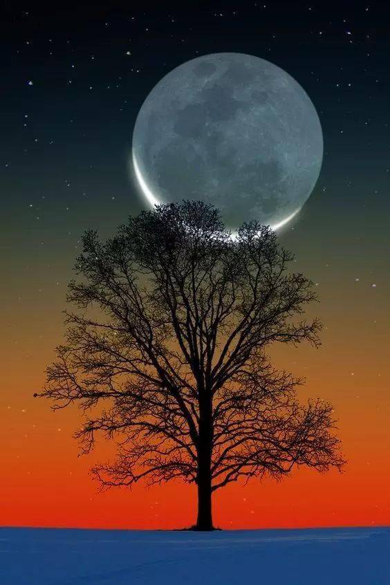 今日中秋节,世界上最美的月亮送给你!中秋有你,月更圆!