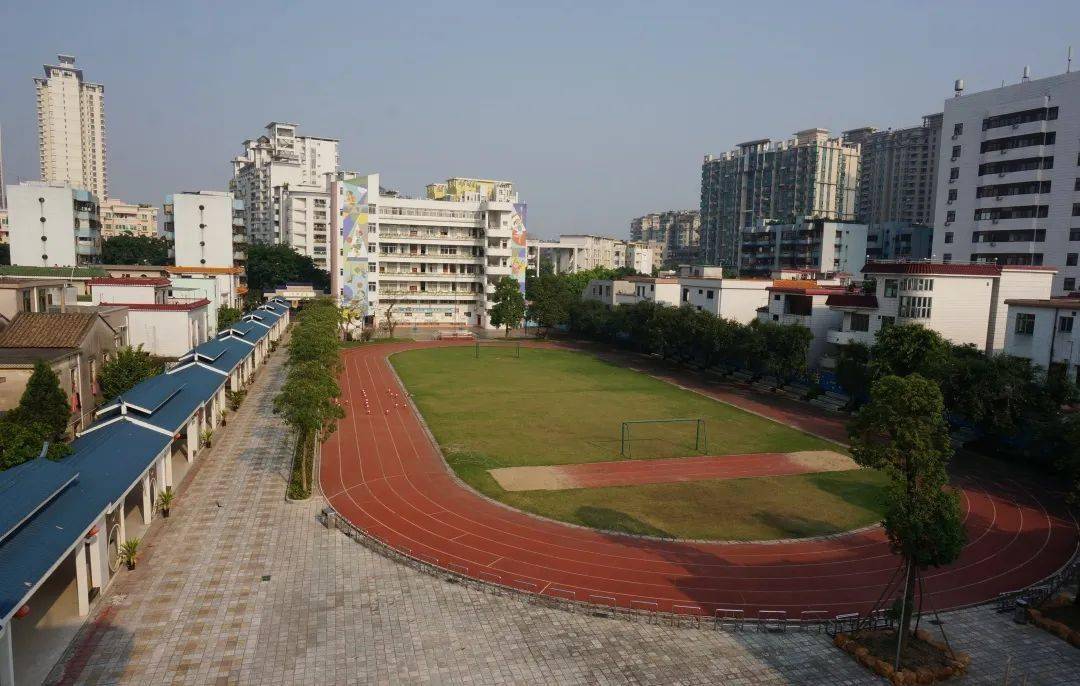 杨仙逸小学体育路学校图片