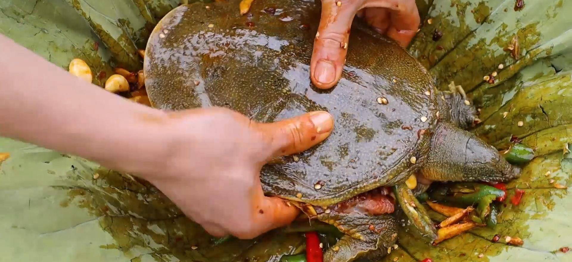 另类做法烤叫花甲鱼,又香又辣连着壳啃,吃得太过瘾了!_荷叶_辣椒_烤制
