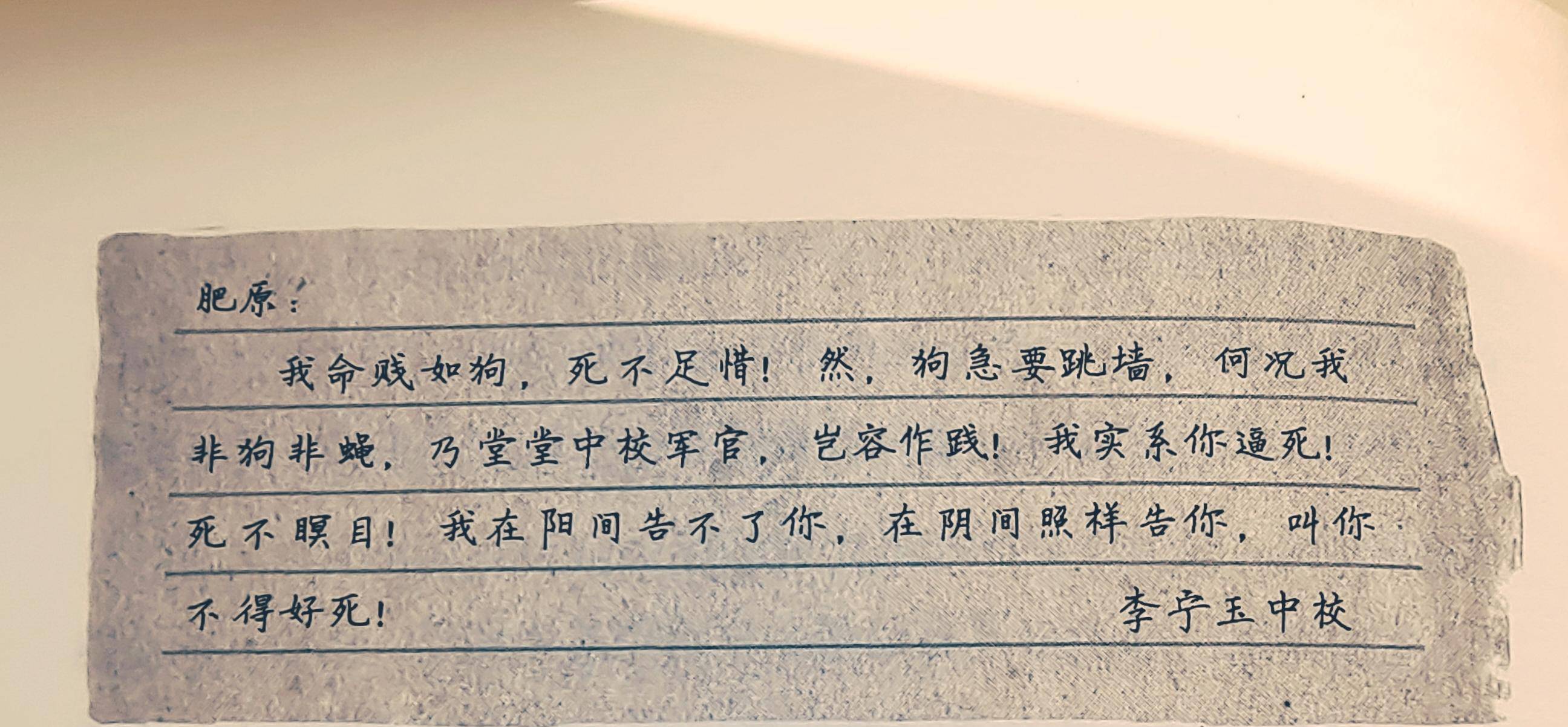 其中,一份遗书是给张司令的,表明自己对汪伪政府的忠心:李宁玉被武田