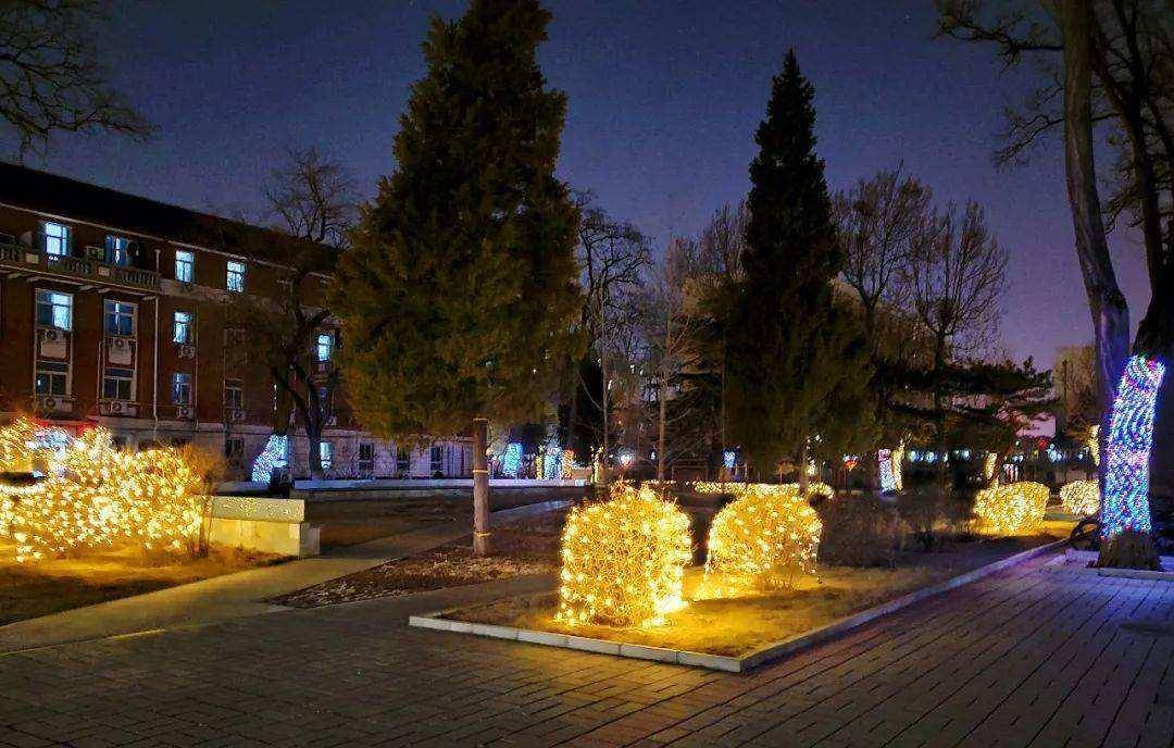 19年大连小伙殡仪馆娶亡妻,葬礼婚礼一起办,2年后却被岳母起诉_徐世南