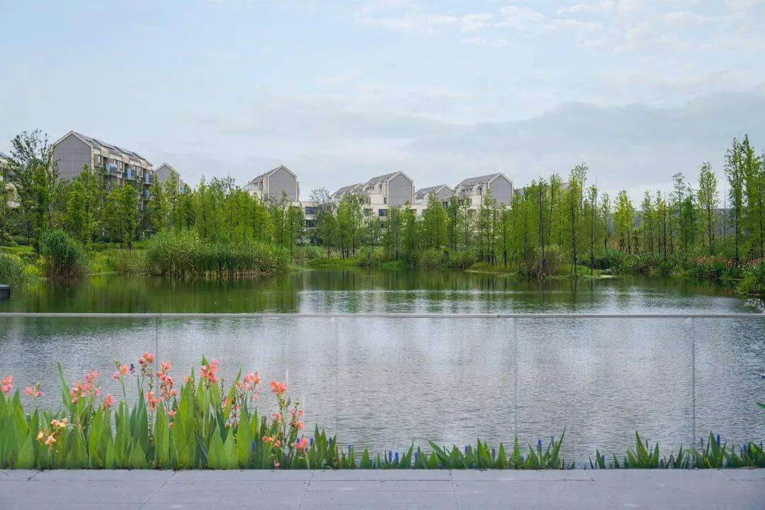 上海万科莱茵半岛 | 下篇:秩序与感性平衡下的美学营造范式_设计_空间