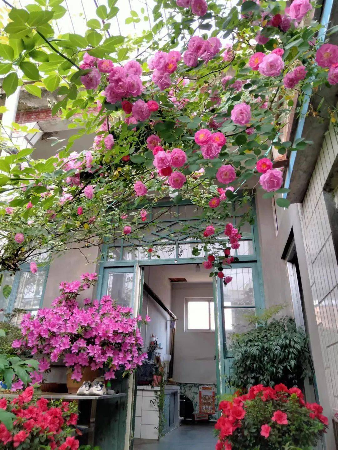 【美丽庭院比拼】石场乡:实施"3 "模式扎实开展美丽