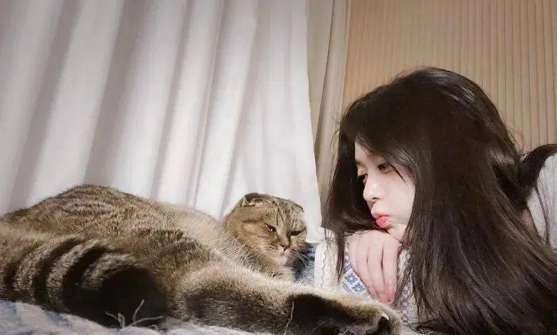 女星薛凯琪(fiona)早前因滤镜p图"出事"屡卷变脸疑云,及后全靠有网民