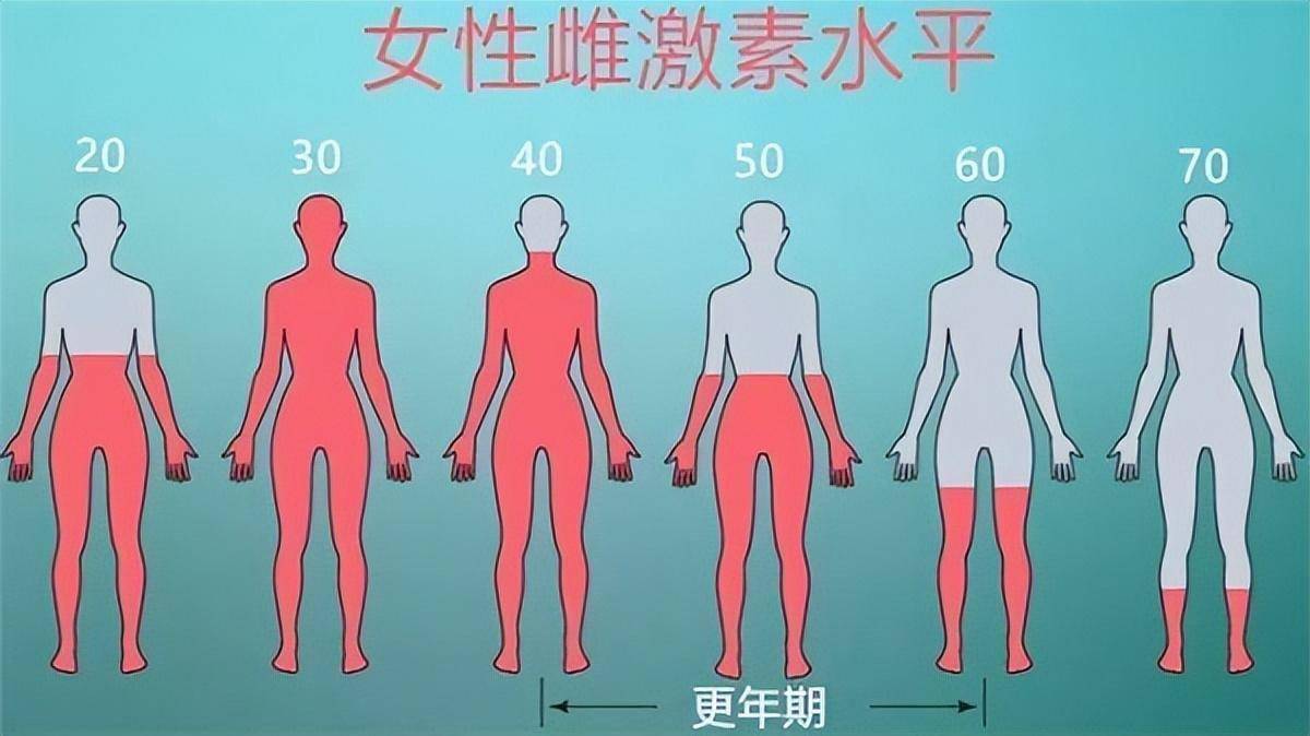 男性体内以雄性激素作为主导,而女性体内则以雌性激素作为主导