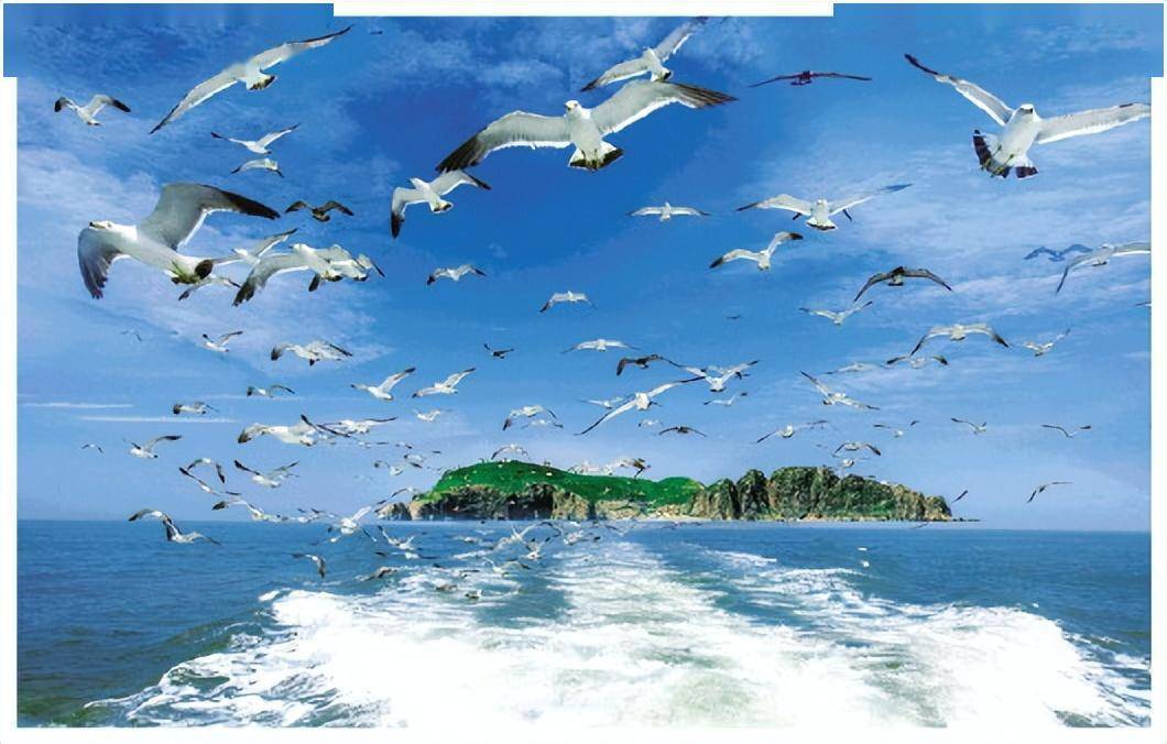 跨过山和大海,走近诗和远方——威海千里山海自驾旅游公路走笔_游客