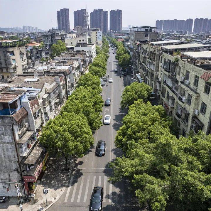 福州大学城焕新!高校“智”力来支持→_上街镇_老街_改造