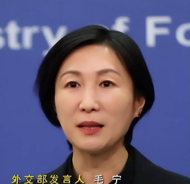 "外交天团"添新面孔,毛宁短发亮相尽显飒爽气质,履历更不简单_大学生