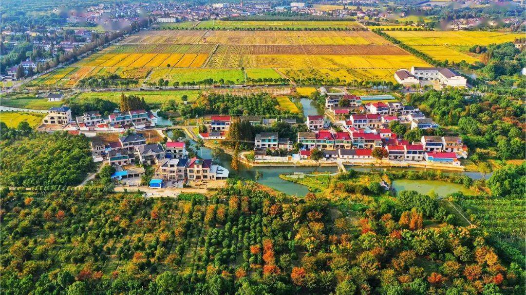 锡山这11个村庄入围"中国无锡最美村庄"~_特色_街道_古庄