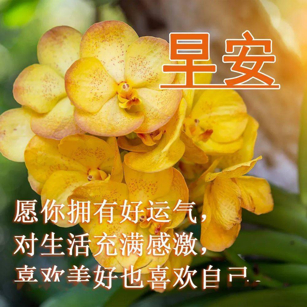 朋友早上好清晨问候语录句子的漂亮图片带字_阳光_生活_心语