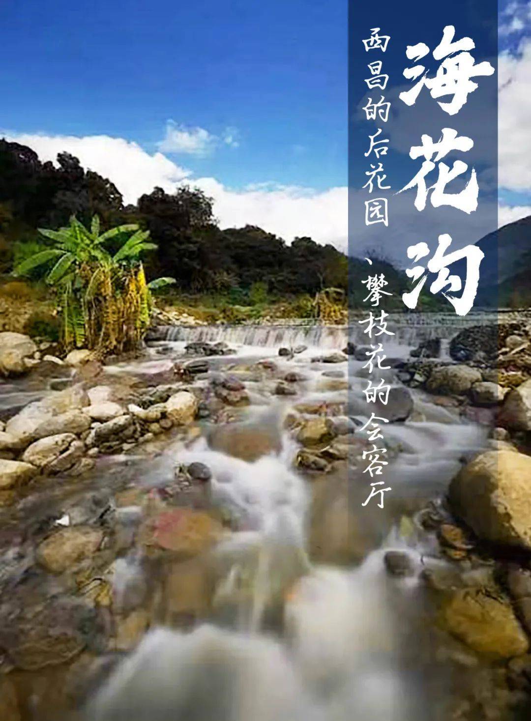 2022年9月15日,海花沟生活方式研讨会在四川凉山德昌县举行