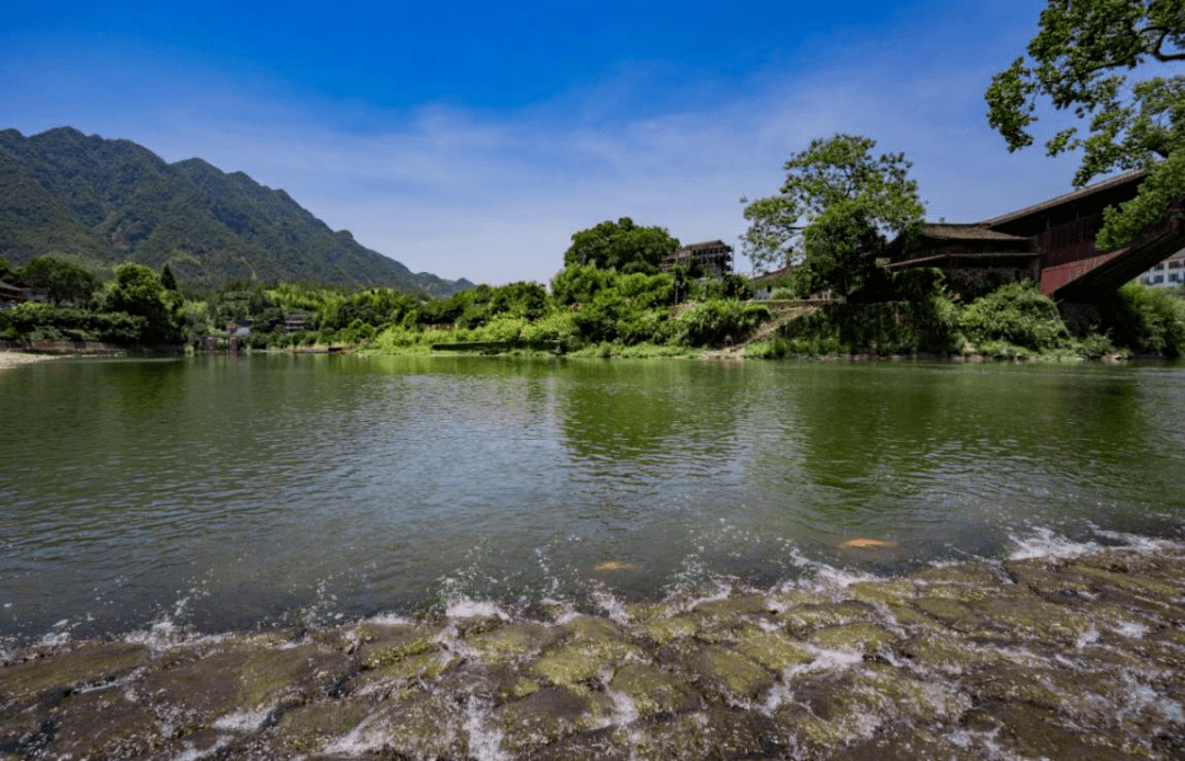美丽河湖·水上碧道丨走近泰顺东溪,感受诗画江南的青绿温润_建设