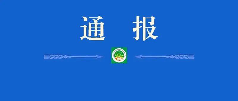 关于贵阳新增4例确诊病例及49例无症状感染者调查处置情况的通报_云岩区_花溪区_石板镇