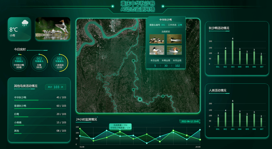 基于升腾ai丨守护自然,梦蝶幻像携手华为打造濒危鸟类目标识别和实时