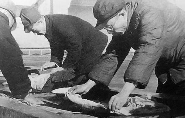 溥仪长达十年的改造生活:自己洗衣缝袜种菜,接特赦书时双手颤抖_研究