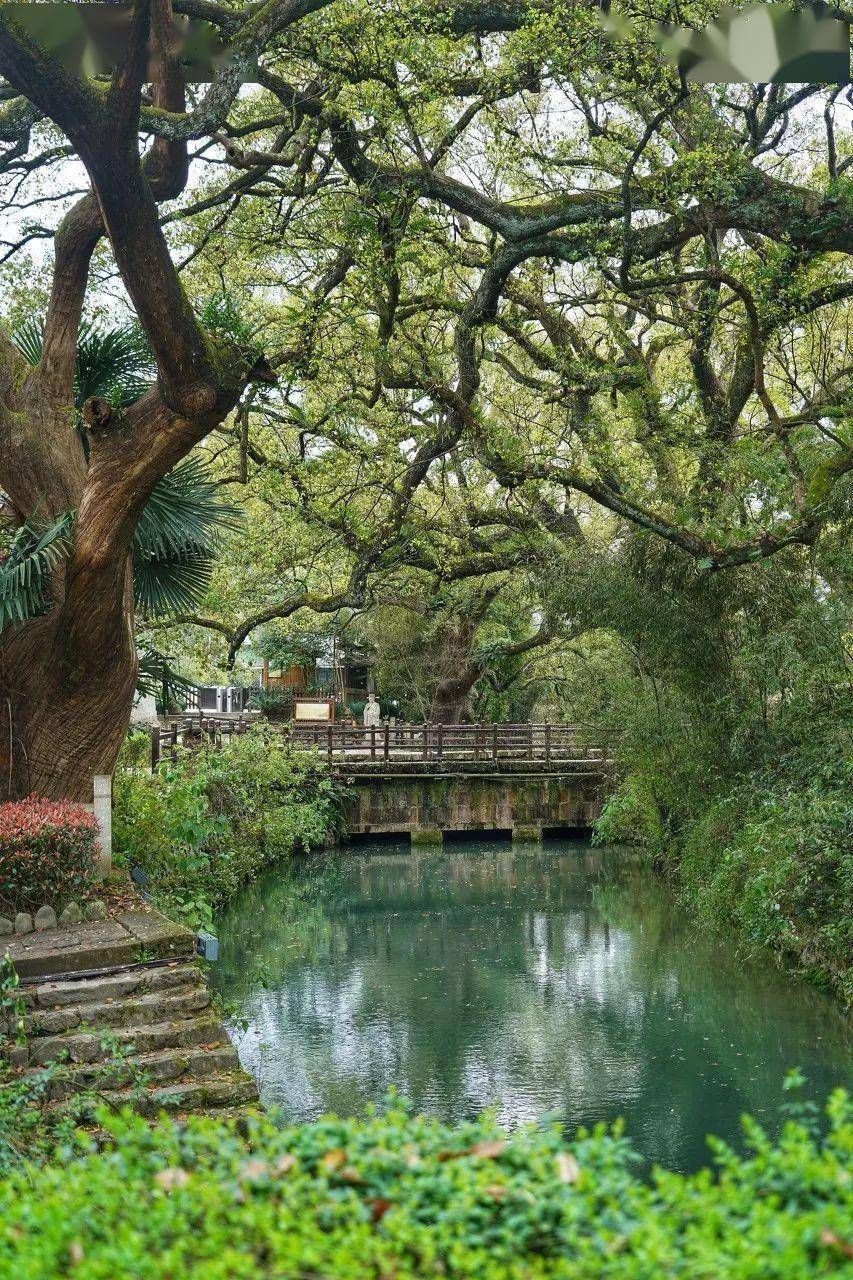 中国最美的50个乡村小镇,余生和你一起走遍_古镇_江南_水乡