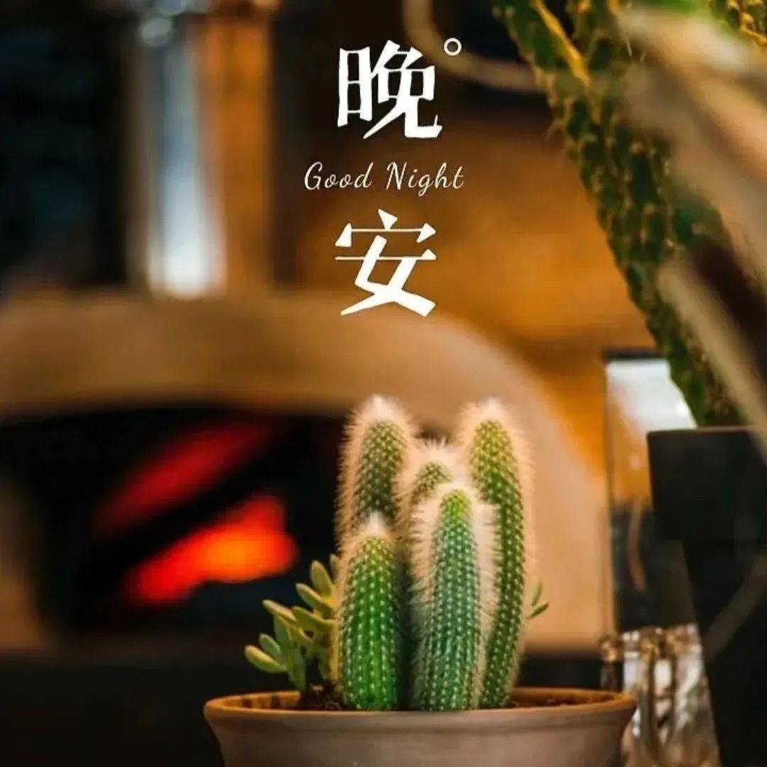 晚安|深夜发圈一段话_符号_馈赠_治愈