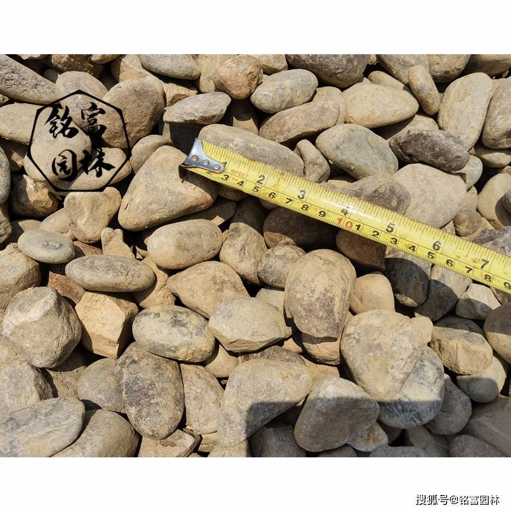 所以从我们这边采购价格会价低一点,也是可能的,分享今天鹅卵石图集