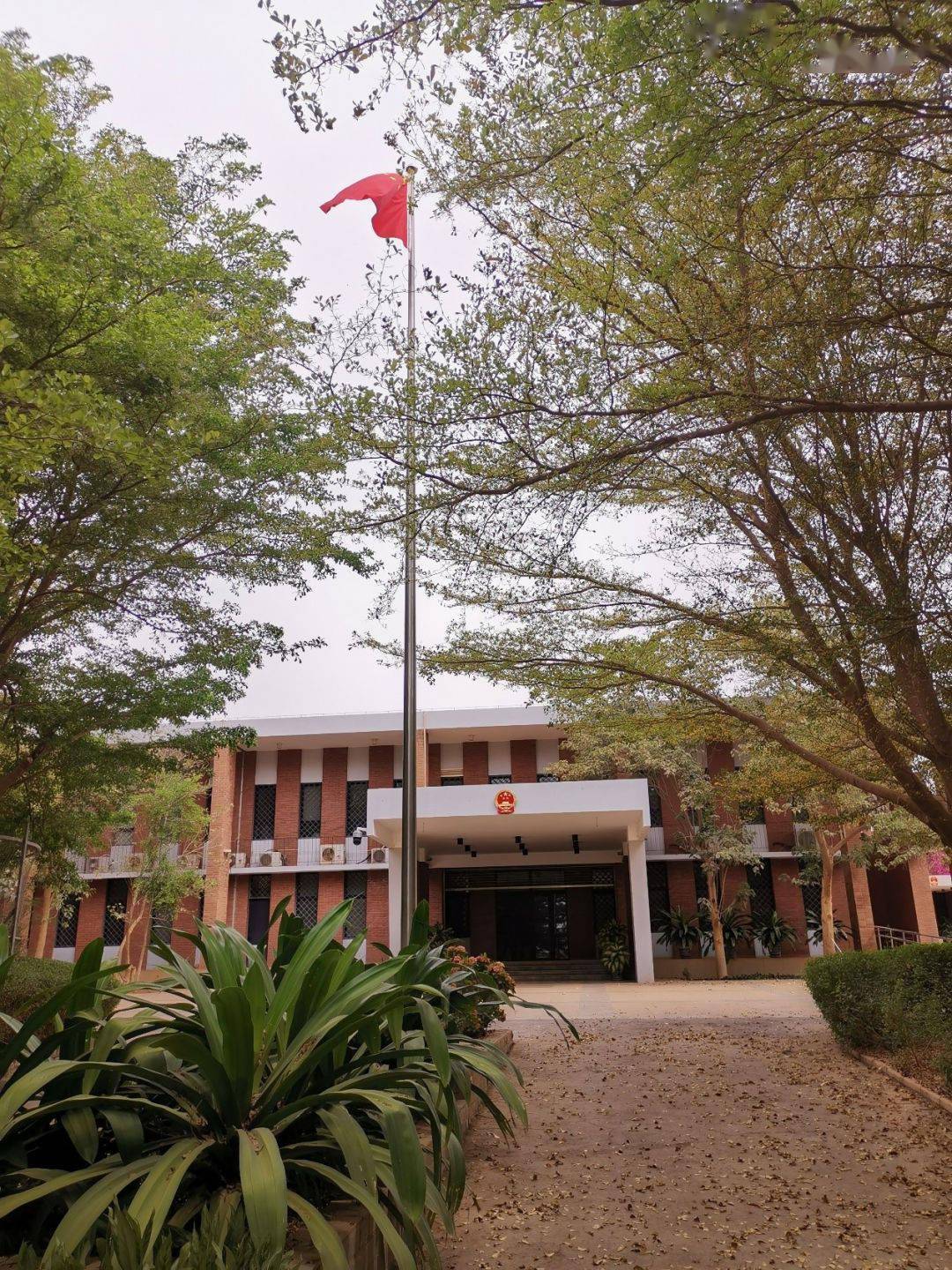 王墨在尼日尔留下青大教师的坚实足迹