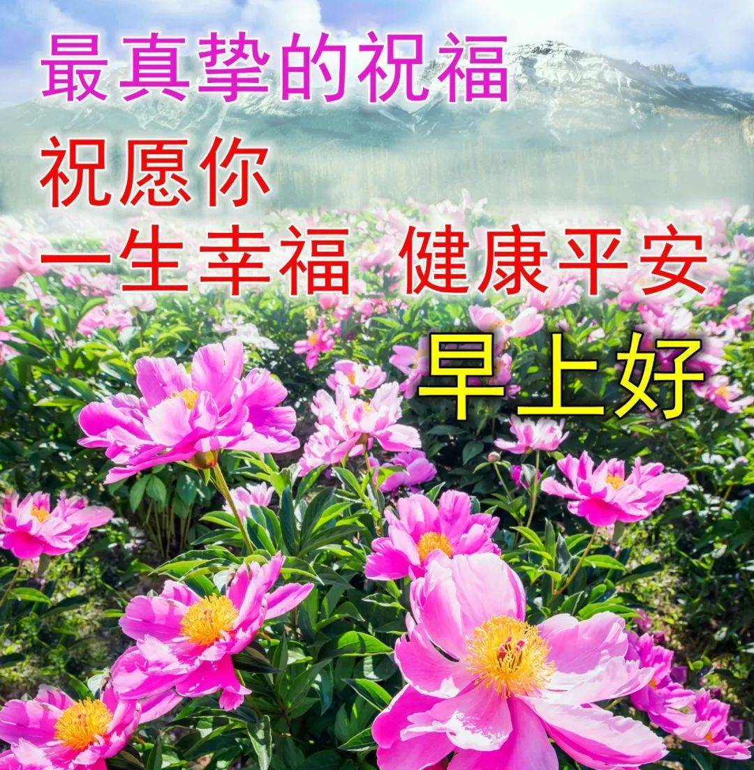 9月17日清新漂亮早上好圖片帶字帶祝福語 新的一天早上好問候祝福語