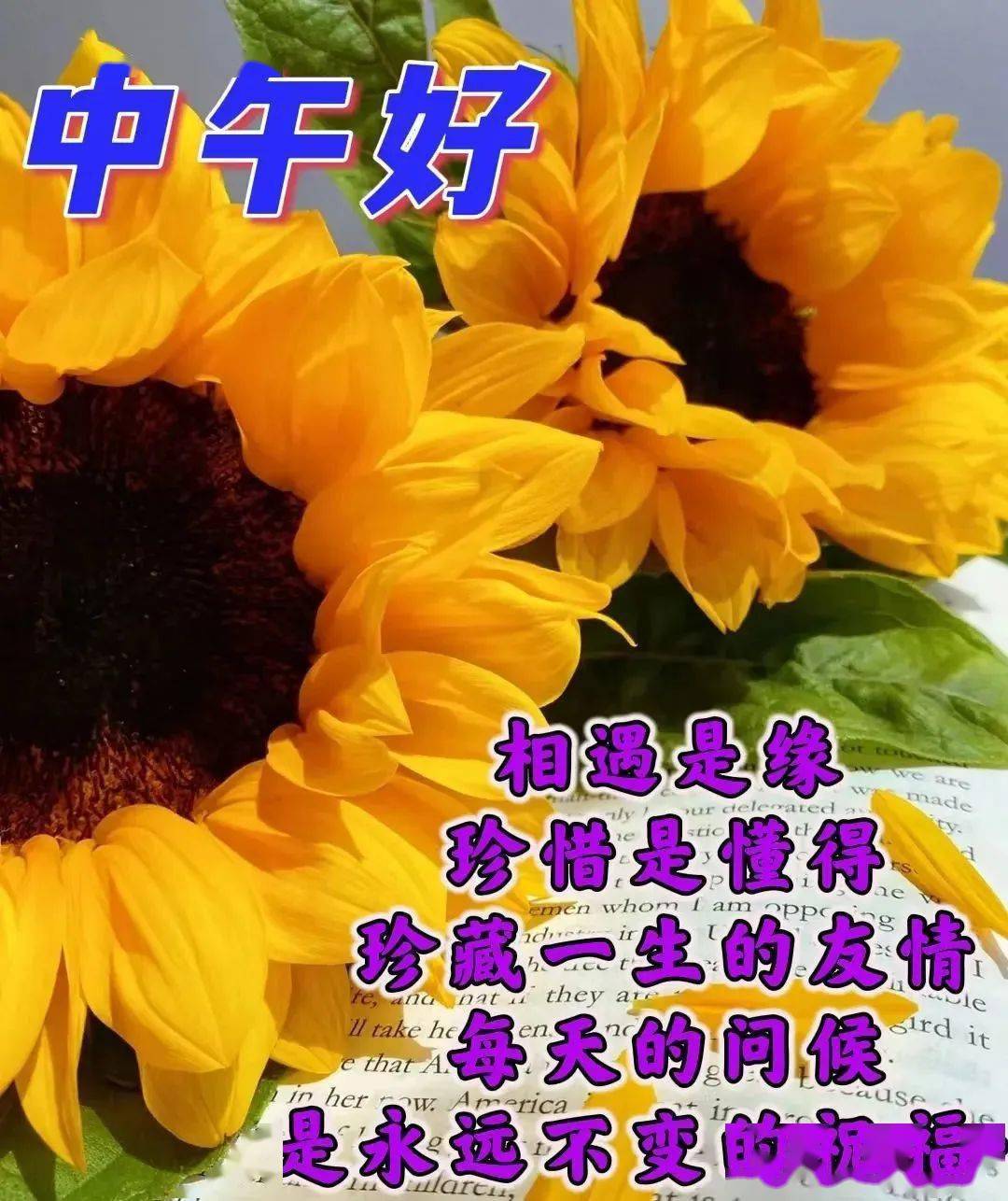 9月18日最新早上好祝福动态表情图片大全,秋天早安问候语句子!
