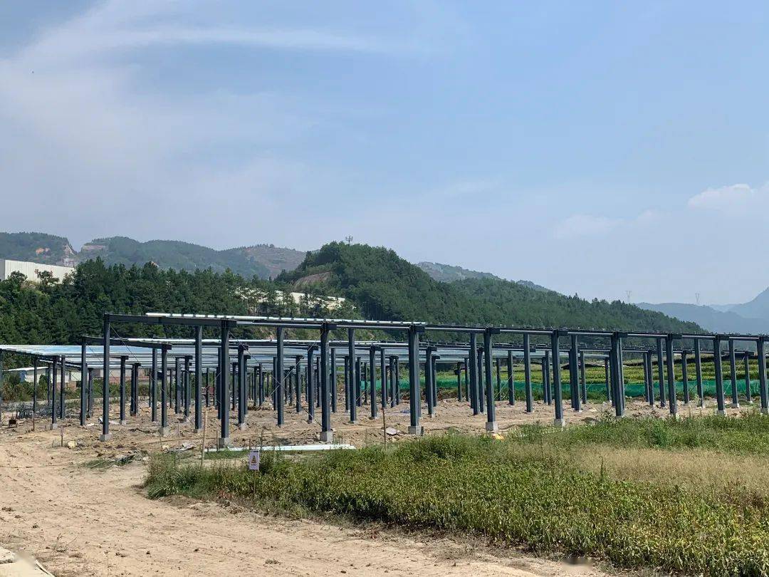 乡村振兴进行时】鹤塘镇积极推进菇棚"光伏 "建设_南阳村_项目_古田县