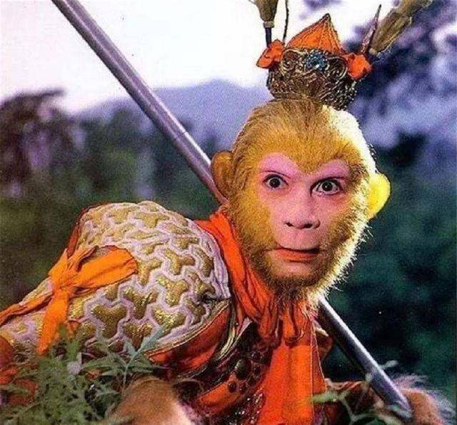 但没看到花果山那群猴子们的下场_孙悟空_混世魔王_毛猴