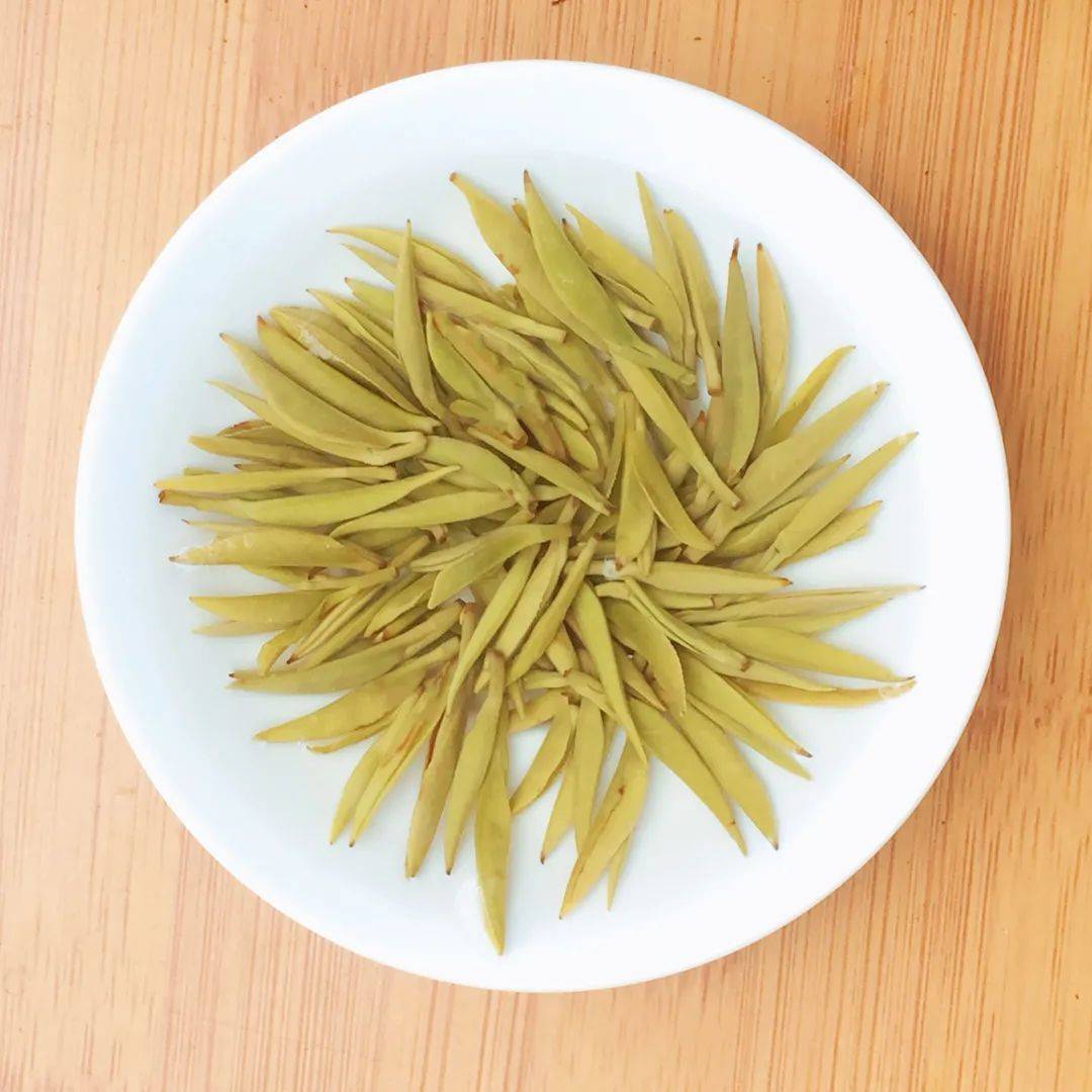 黄茶| 黄小茶 鹿苑毛尖 -- 呦呦鹿鸣而来的山寺僧茶_种植_远安县_茶树