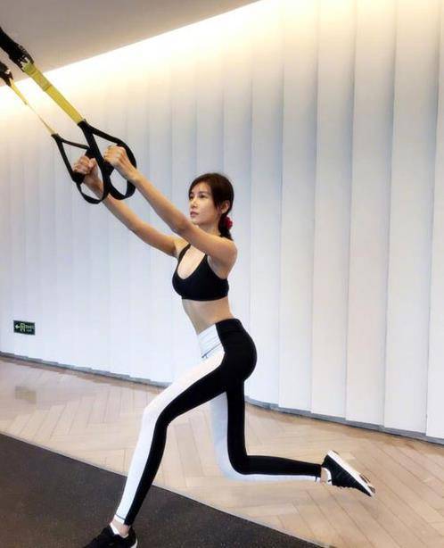 张蓝_十二生肖_自律