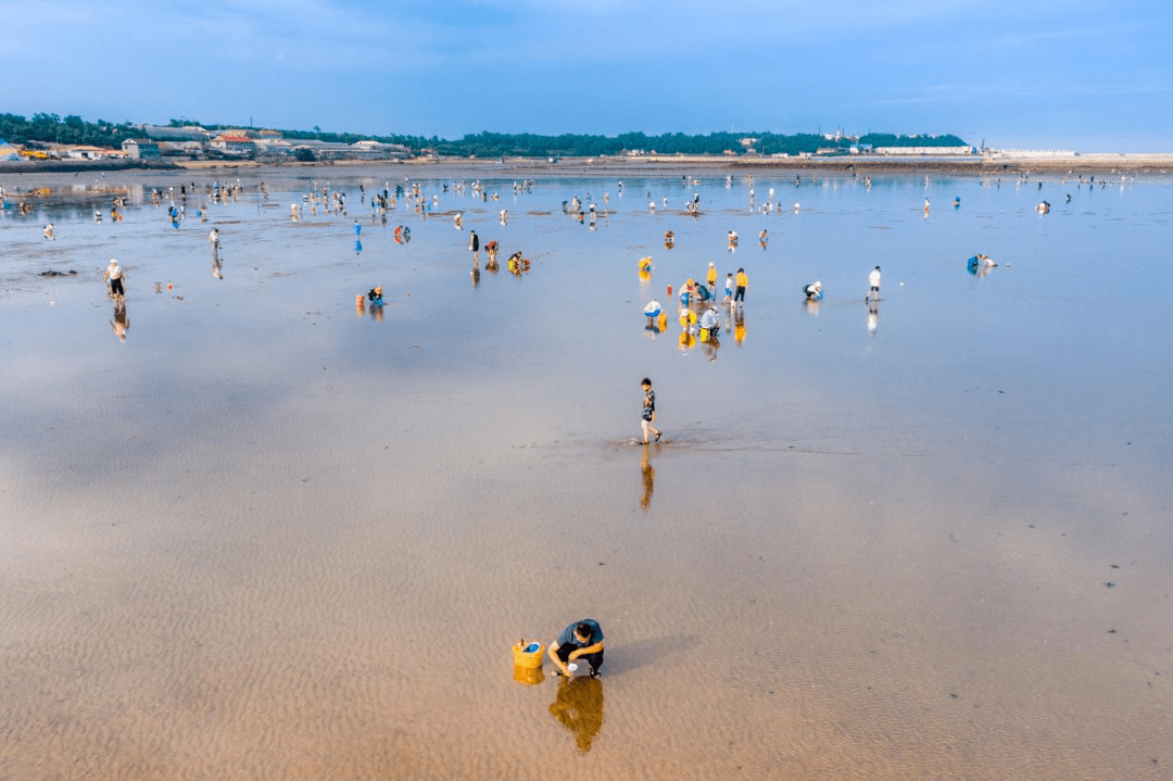 【文明村镇】登沙河街道范家村:文明亮底色 乡村更宜居_大连市_村史