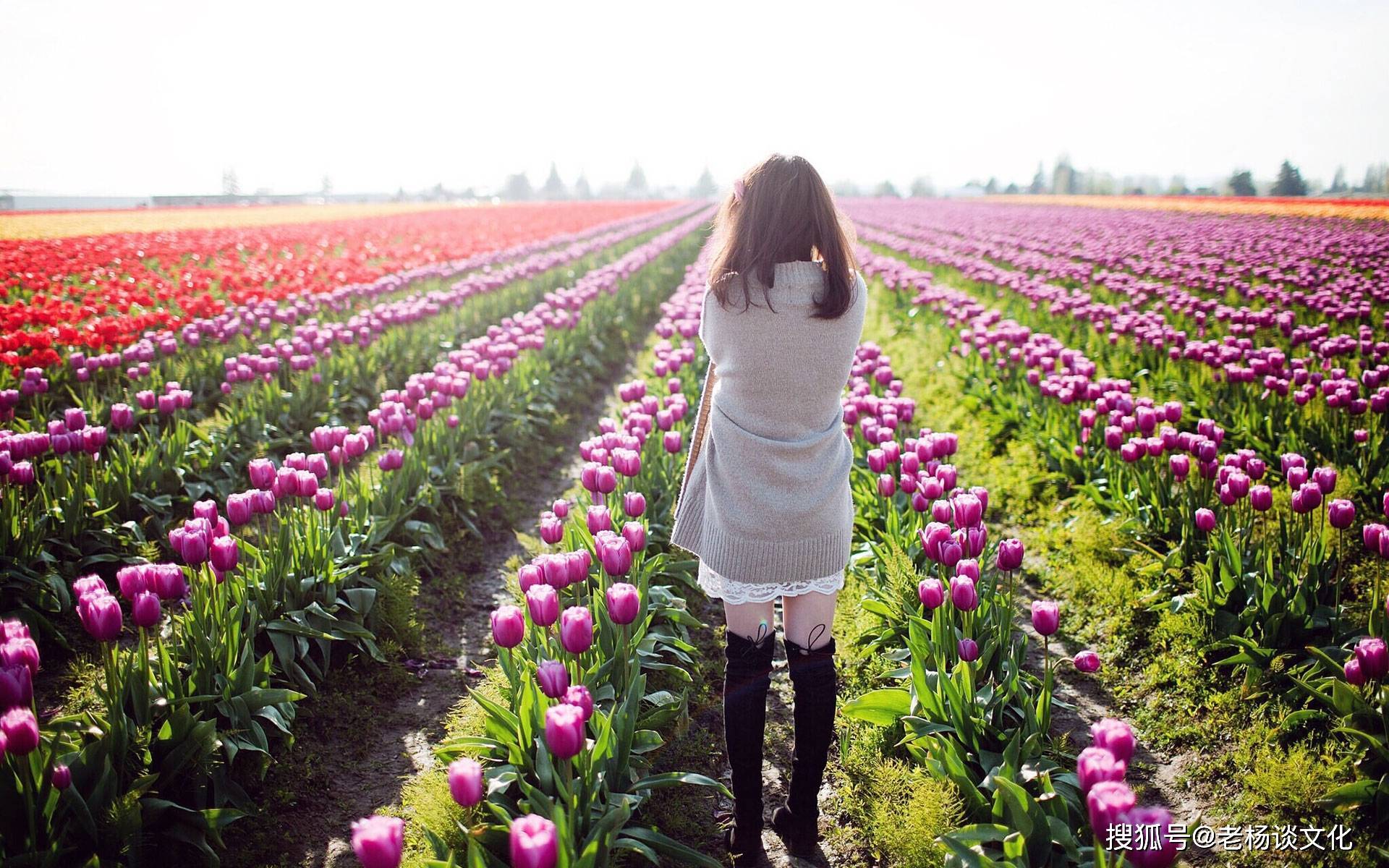 在9月份期间,柳暗花明,豁然开朗,昔日旧爱复合的四大星座_天秤座_对方