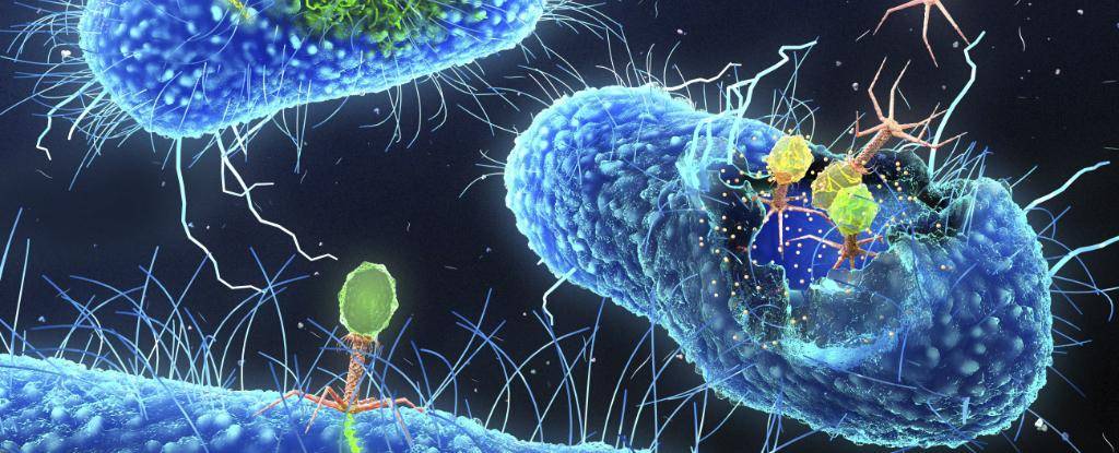 科学家通过采集细菌来创造“活的”合成细胞插图