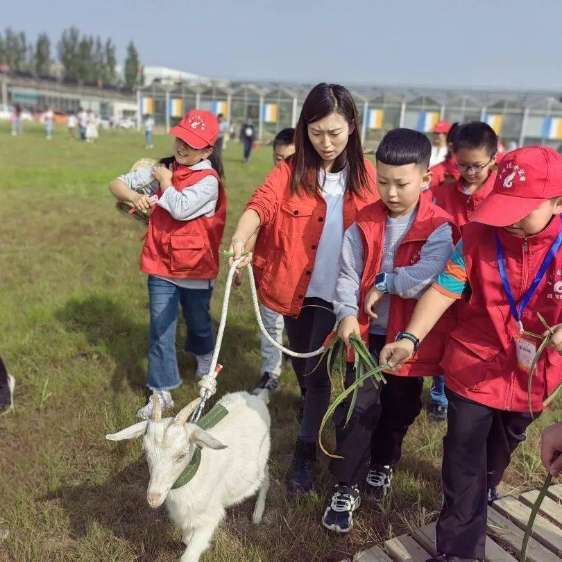 活动图集|"小小农夫"忘忧农场欢乐多!_大同_秋收季节_风景线