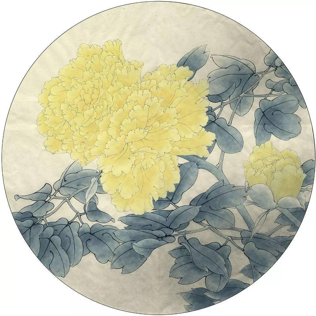 工笔画教程 李晓明 王者姚黄 绘制步骤 花头 花茎 涂花青