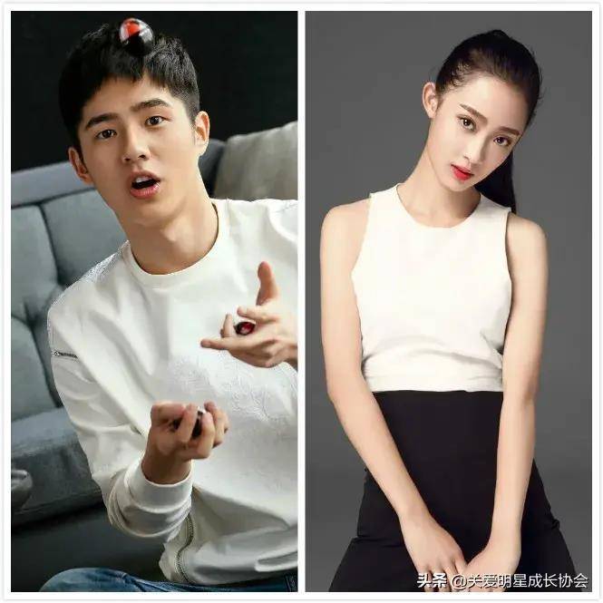 蔡徐坤为人?刘昊然孙佳雨?王嘉尔许魏洲对家?_发展_会长_为人