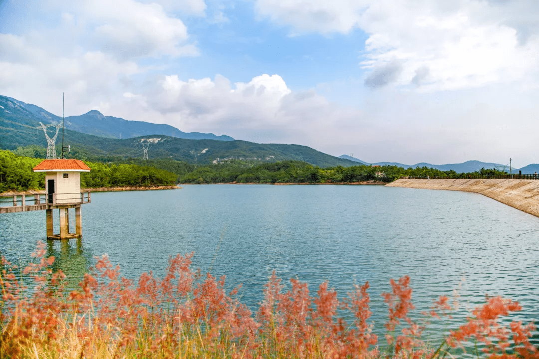 【厦门同安田园竹坝丨栖竹·朴舍民宿】去过城市人向往的田园生活