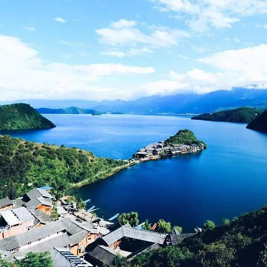云南大山里的神奇果子——滇橄榄_作用_味道_余甘