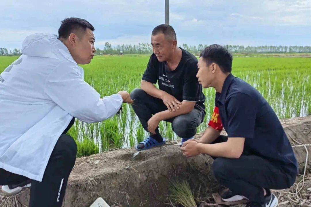 在建三江"我在三江有亩田"项目中,胜利农场第二管理区智启云联党小组
