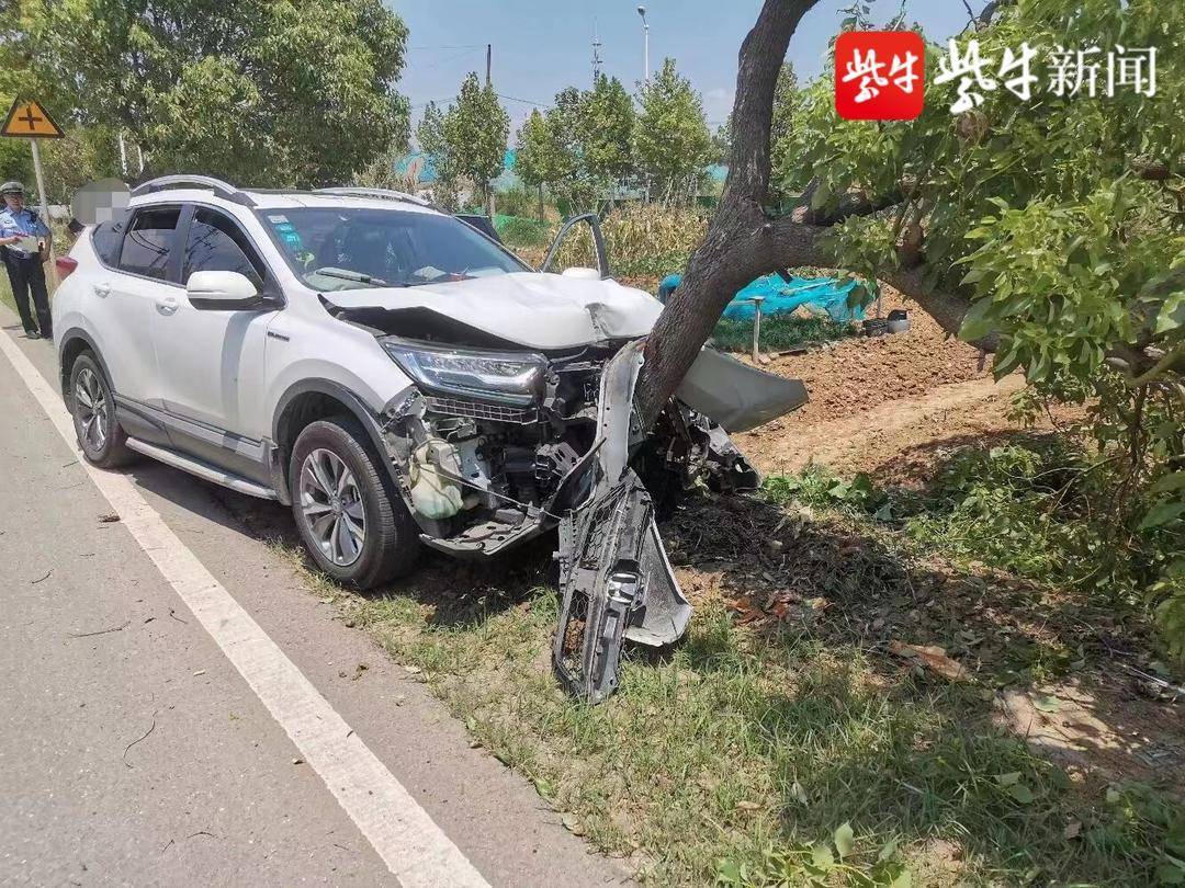男子玩了一夜驾车回家,结果半路瞌睡撞上大树_刘某_树木_车辆
