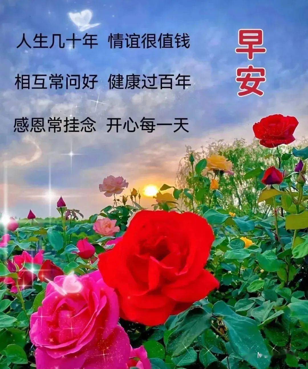 早安温馨问候祝福图片