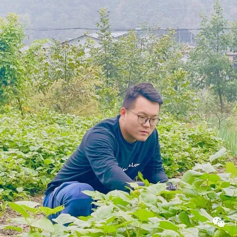 卢氏县官坡镇:“五星”创建中的“青春风采”_工作_基层_专干