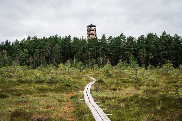惊艳!爱沙尼亚六大国家公园