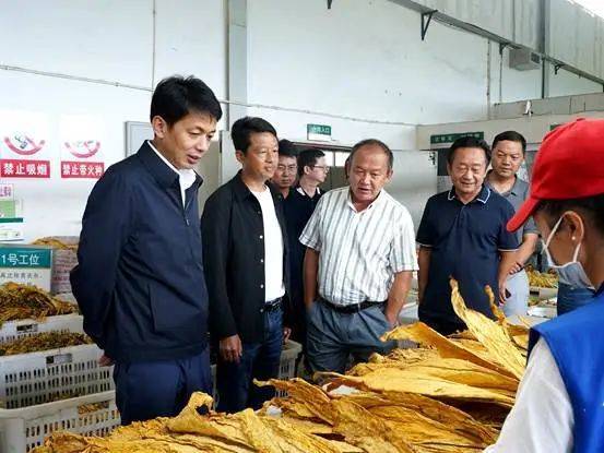 腾冲:杨艳龙调研指导乡村振兴示范点建设,人居环境整治提升等工作