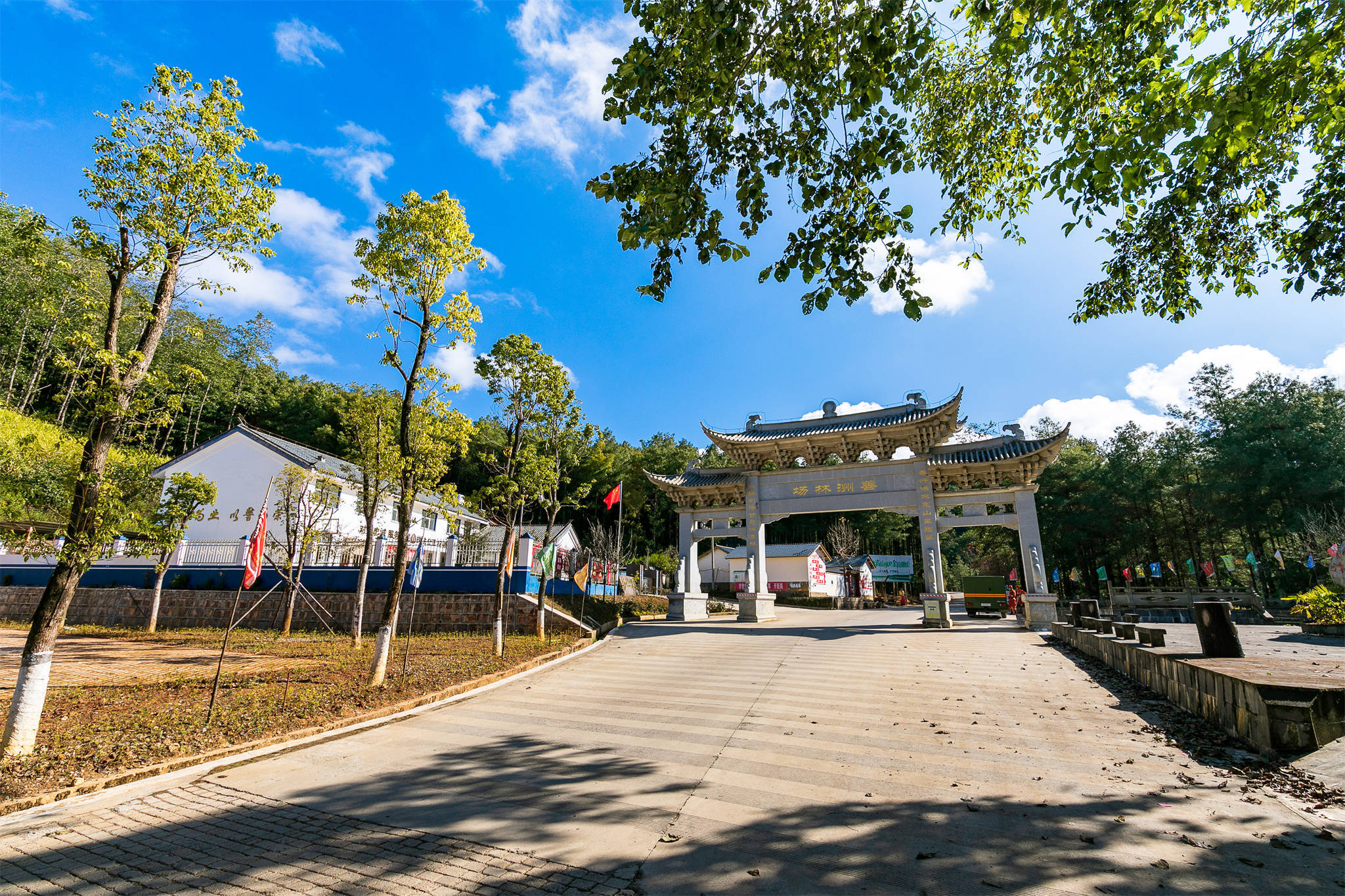 保山市施甸县:绿美城乡富生机