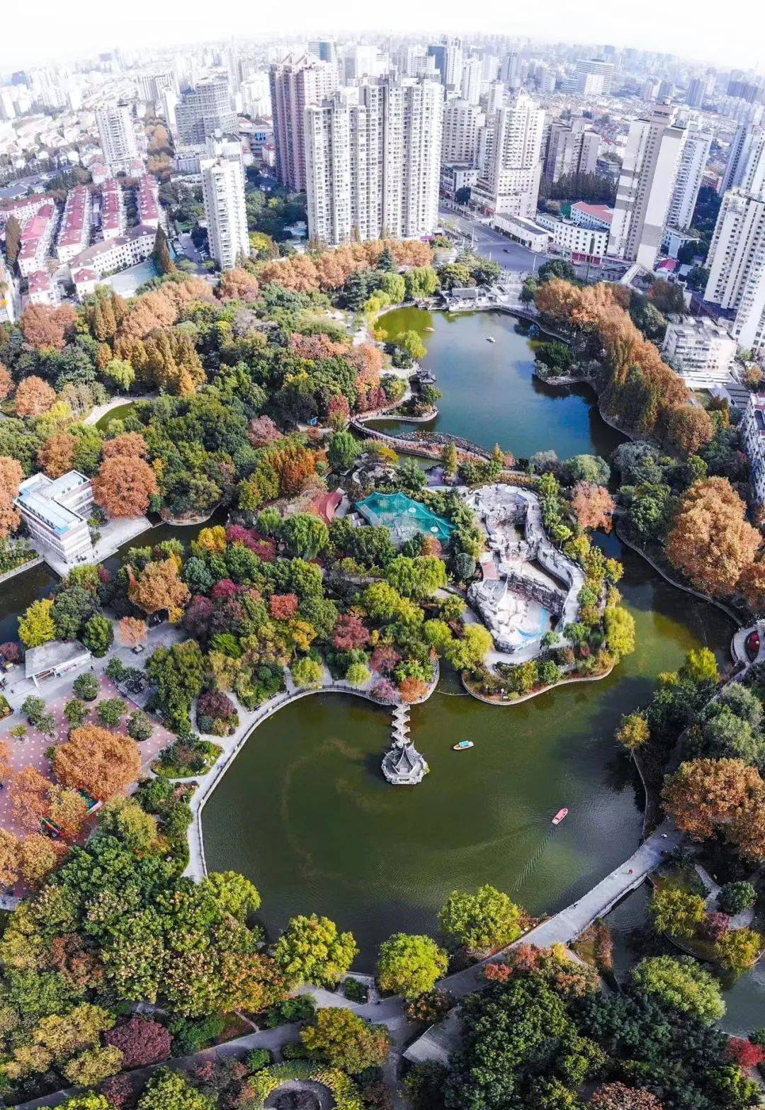 上海和平公园将于10月中旬完成改造,新增萌宠狗乐园