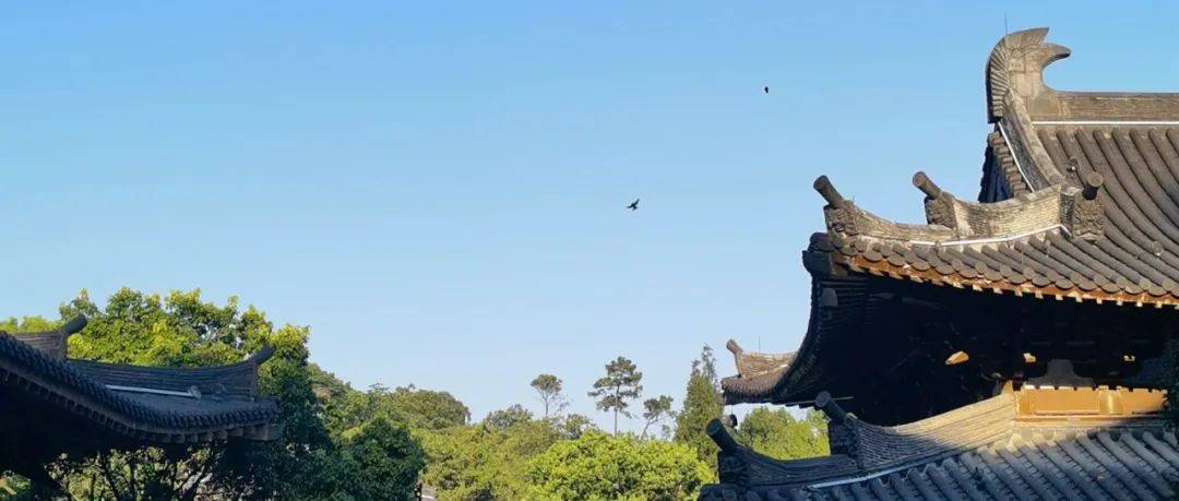 以戒为师丨中国最早的比丘与比丘尼_沙门_公元_严佛调