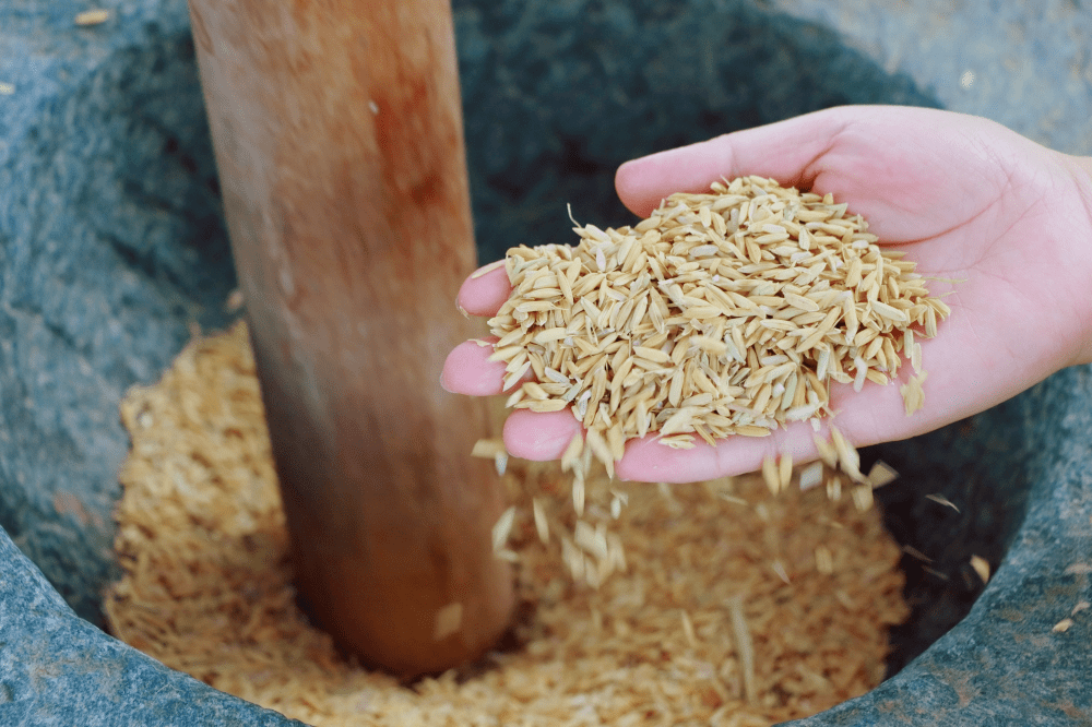 【10月1日-7日】国庆家庭游玩,草帽涂鸦 收稻谷 脱粒舂米 抓鸡摸鱼 烧