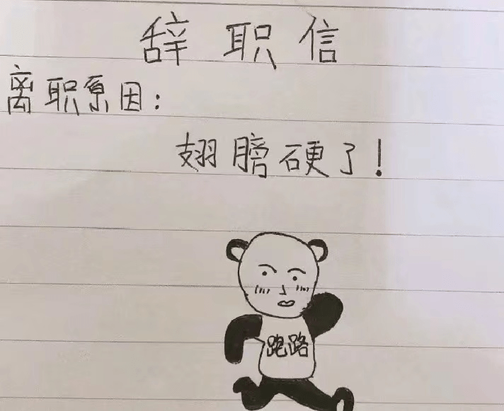 翅膀硬了辞职书图片图片