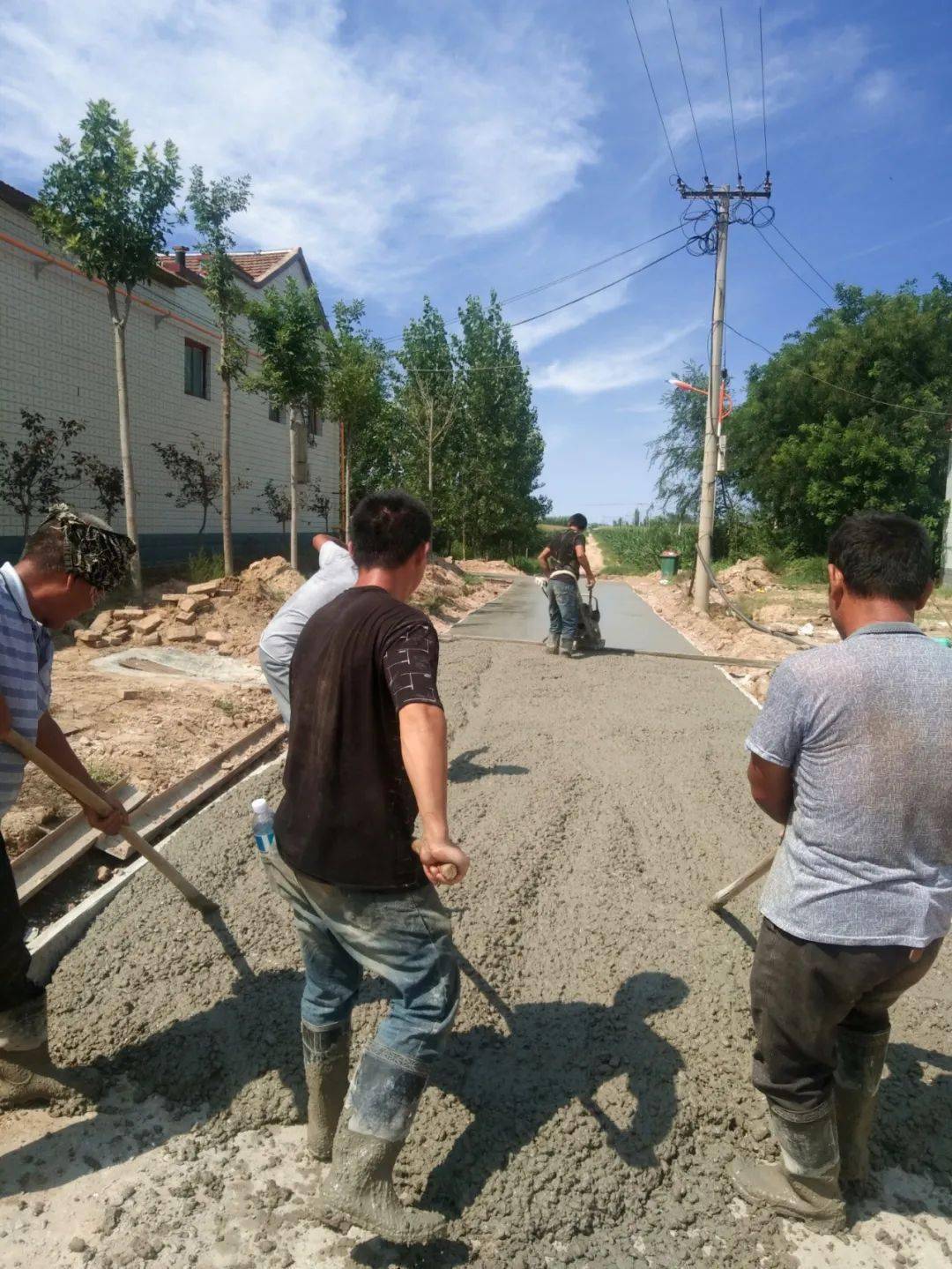 故城县武官寨镇李店村:党员干部齐上阵 铺就"乡村振兴"路_加工_全村